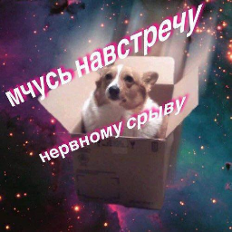 popiLord