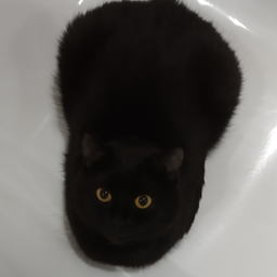 Nanarik