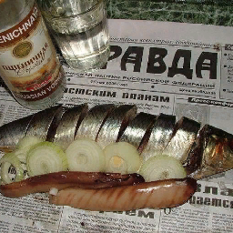 Papasha.14