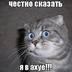 Melory1Noks.333
