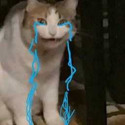 RAIN0VER