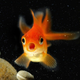  Goldenfish.666