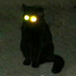 Xthyjrjnbt