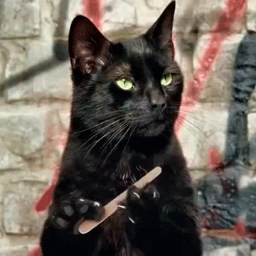 Kuroi.Neko