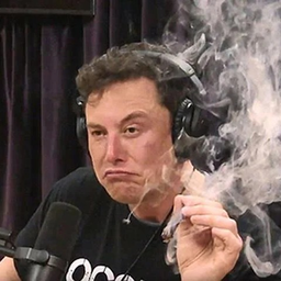 Hondzo
