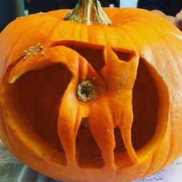 KotVegan
