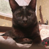 toshka4666