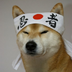 Baka.Baka