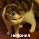 ������ ������������ dynya0.0