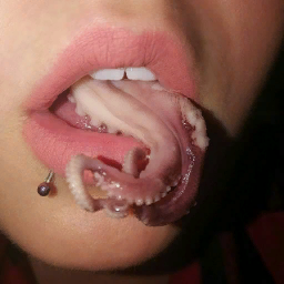 NotThisBonnie