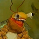 ������ ������������ molebator