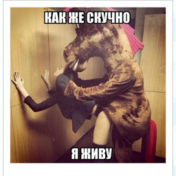 Девушка Шутит Про Секс
