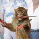 ������ ������������ Ape1with2blades3