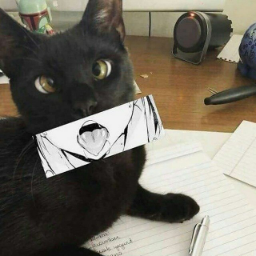Shiriruq