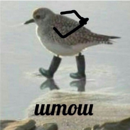 shtoshic