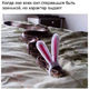 ������ ������������ JessBars