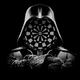 ������ ������������ dartsVader111