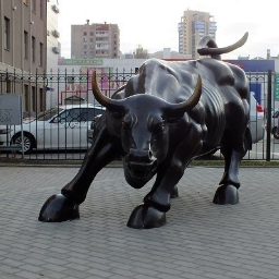 ChicagoBull