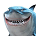 shark.smile