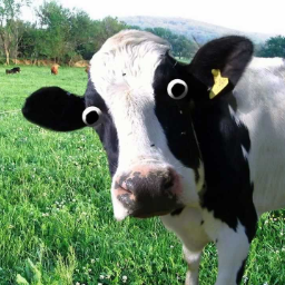 Pikabu profile picture for @manure