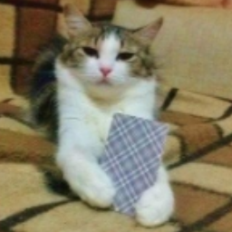 mumixam