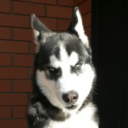 Torvvald