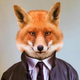   BoxFox