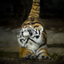 TigerCub
