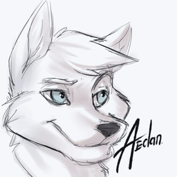 aedan