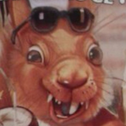 Squirrel22