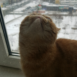 Mr.Brusnyk
