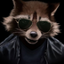 CoolRaccoon77