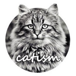 vk.catism