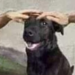QQhka