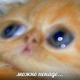 ������ ������������ HysterioN