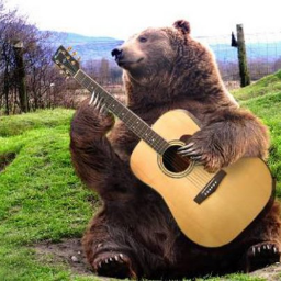 BearWithGuitar