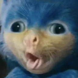 Veronikanikel
