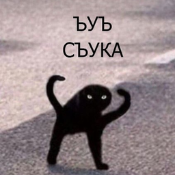 vitalpikabu