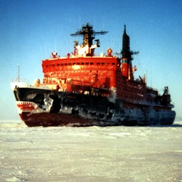 Mirpolon