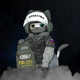������ ������������ Polizei85