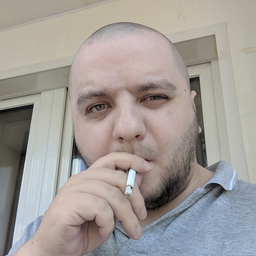 SirLittleWolf