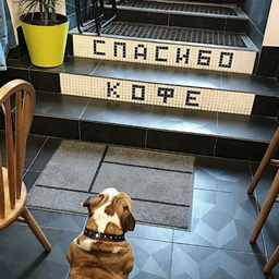dnevnik.barista