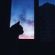 ������ ������������ iShadow