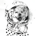 Space.Heli