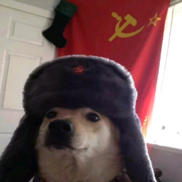 KosPalpatine