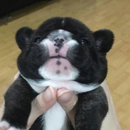 aweeee
