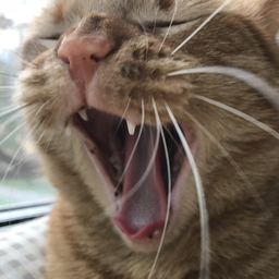 vendredi