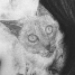 Eldirel