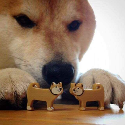 kOr.win