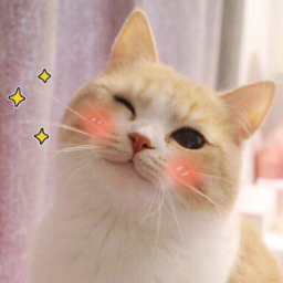 Sawaruneko